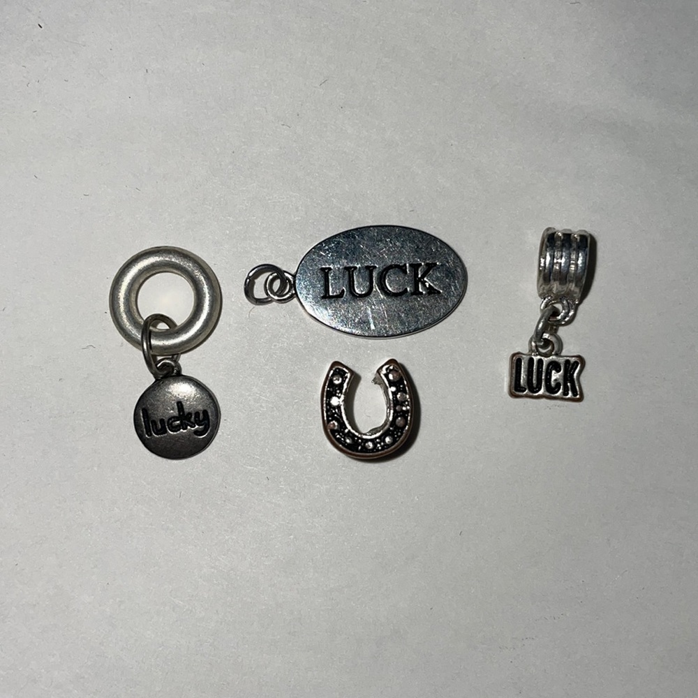 Silver lucky bracelet charms